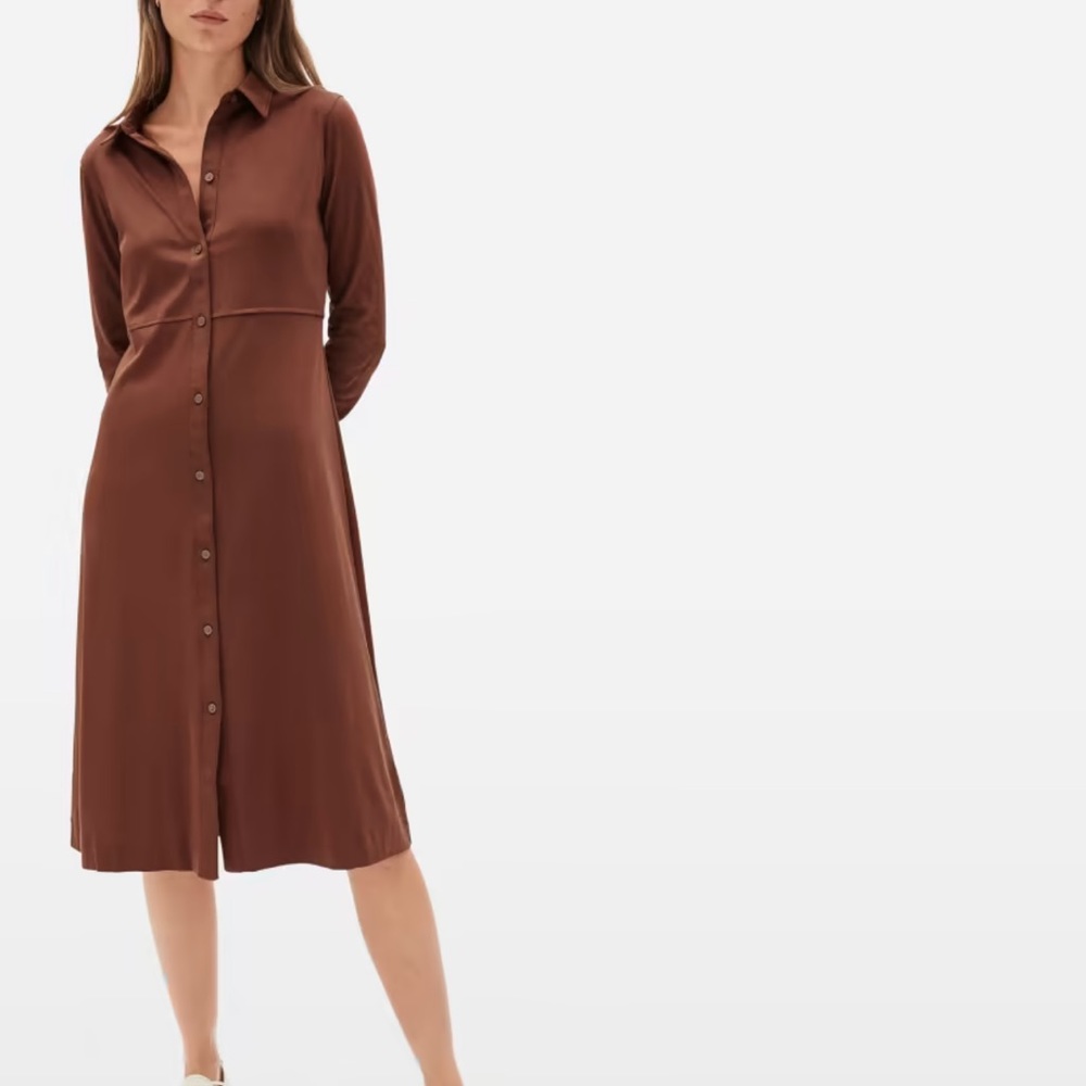 Everlane Brown Button-Front Midi Shirt Dress
